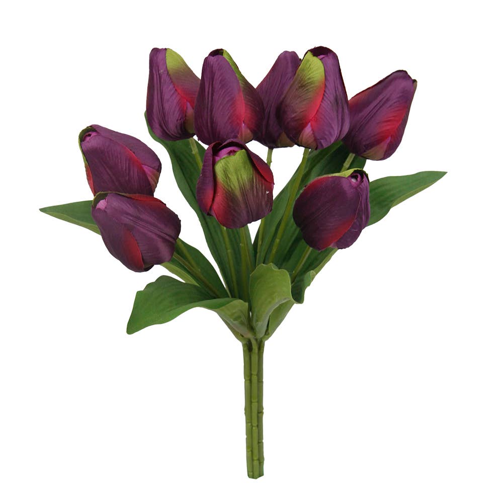 Mixed Color Large Tulip Bushes
