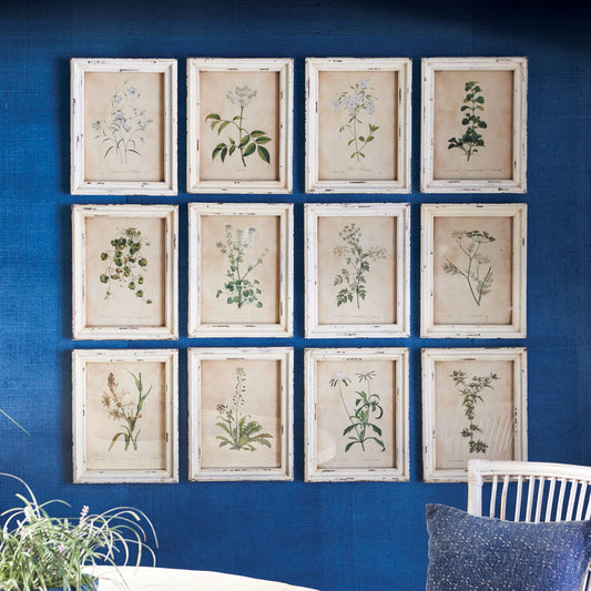 Framed Wild Flower Botanical Prints -Assorted- Sold Separately