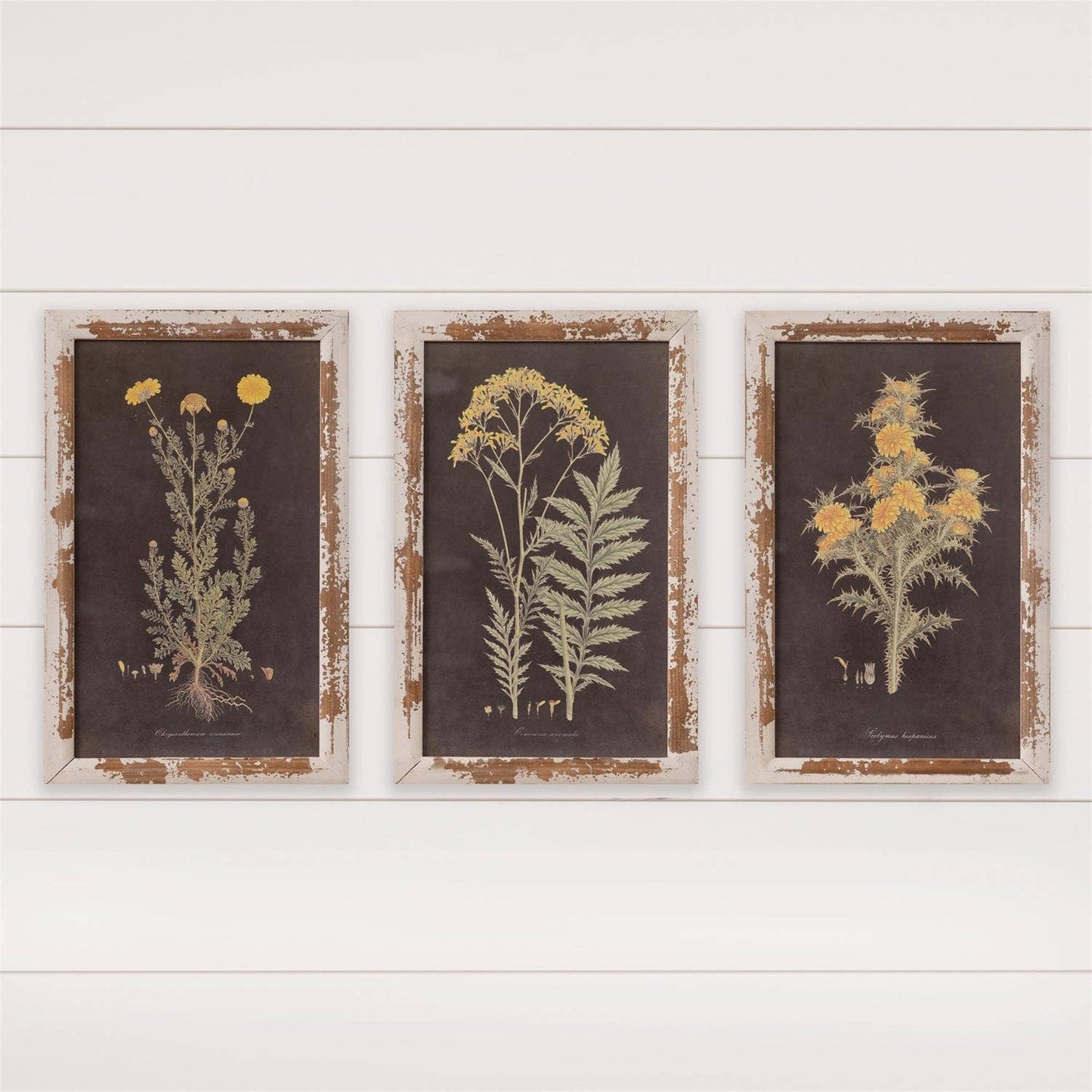 Wart -art Yellow Flowers