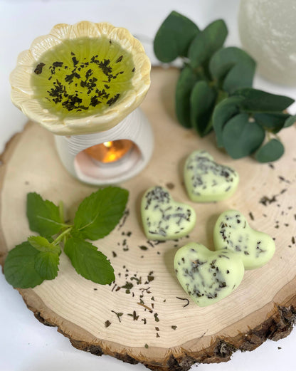 Peppermint & Eucalyptus Soy Wax Melts