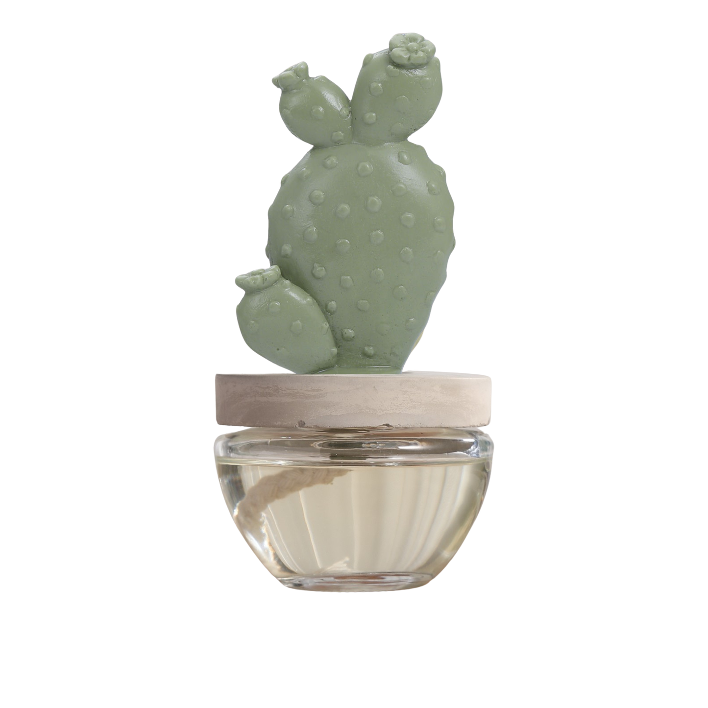 Bunny Ear Cactus Ceramic Diffuser Combo/Sweet Azale- 2PCS