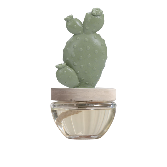 Bunny Ear Cactus Ceramic Diffuser Combo/Sweet Azale- 2PCS