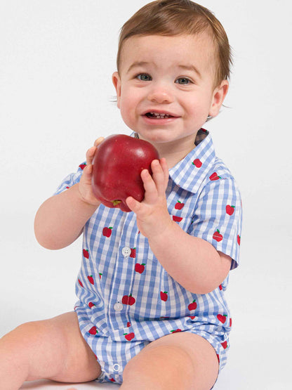 Baby Boys Apple Orchard Classic Gingham Short Sleeve Woven Button-Up Romper: Blue / 0-3m