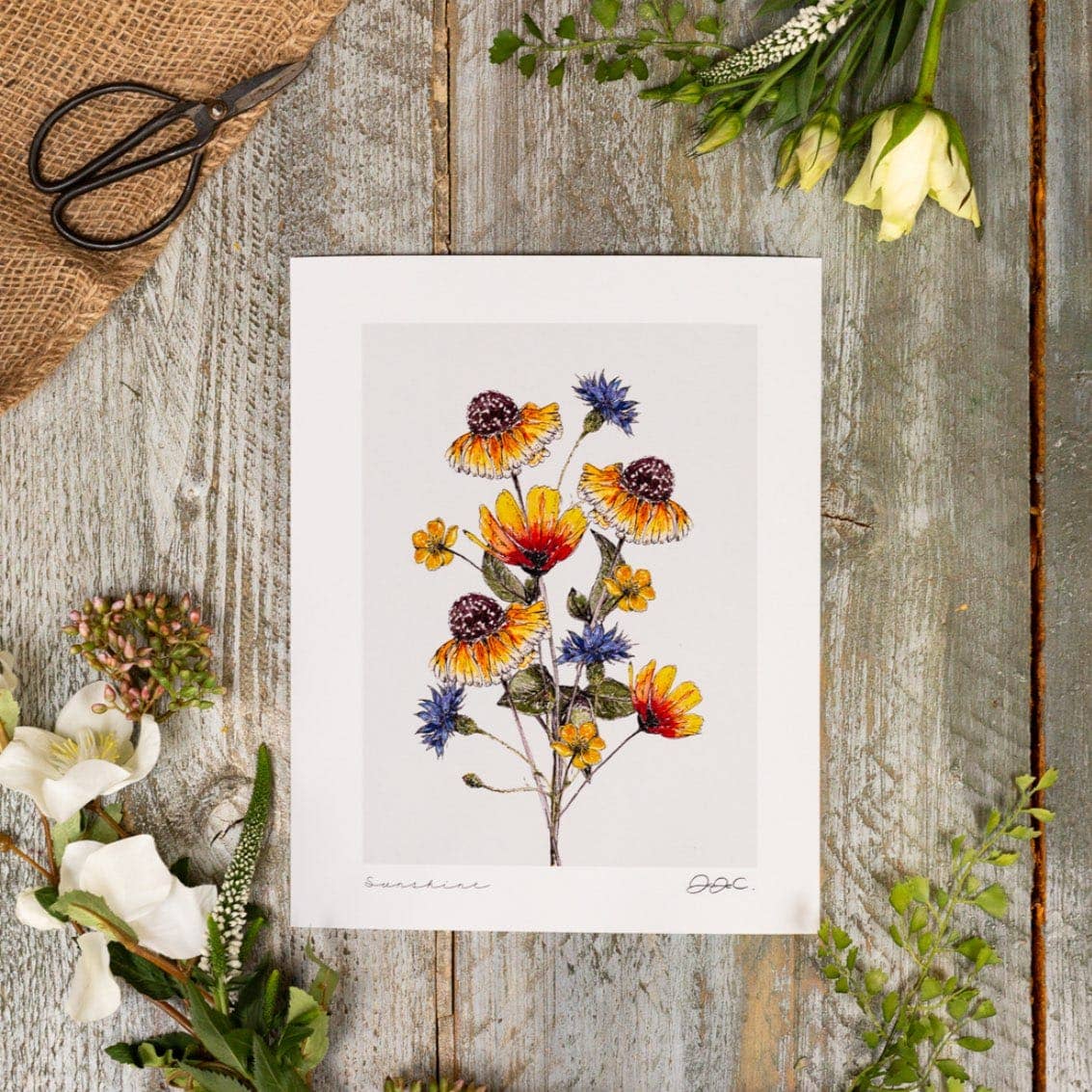 Toasted Crumpet - Sunshine 11X14" Fine Art Print