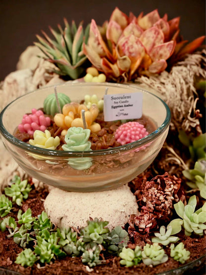 Succulent Candles