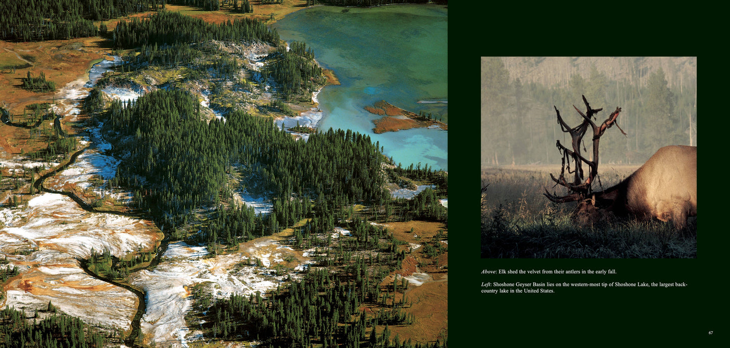 Wild Yellowstone: Land of Geysers & Grizzlies