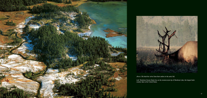 Wild Yellowstone: Land of Geysers & Grizzlies