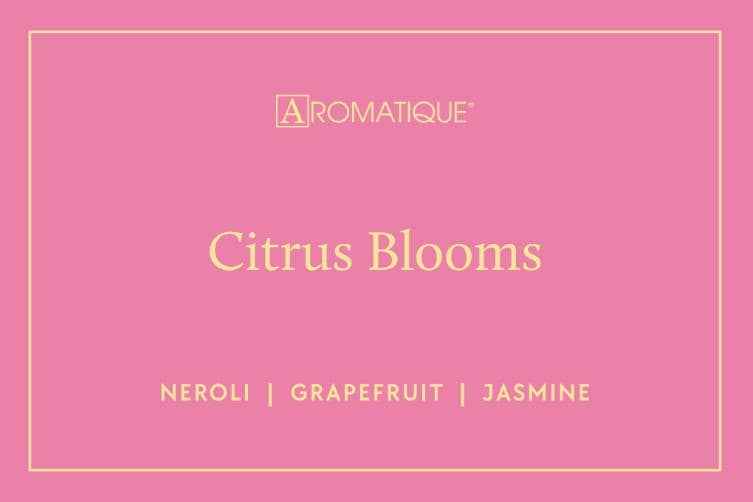 Citrus Blooms - Votive Glass Candle - 12 EA