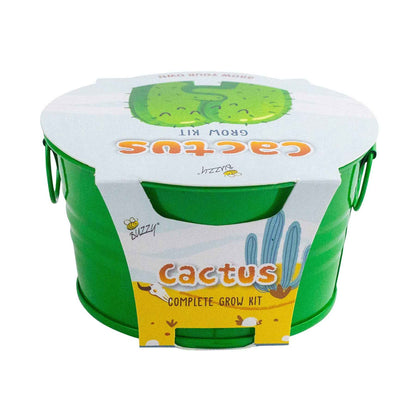 Kids Mini Painted Basin Cactus Grow Kit | Indoor Kit | Gift