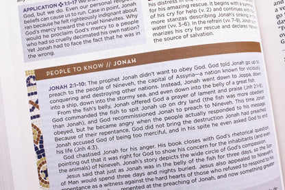 NIV Application Bible Leathersoft Red Letter Comfort Edition