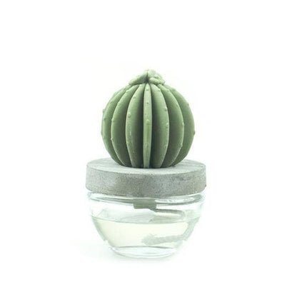 Barrel Cactus ceramic diffuser gift set