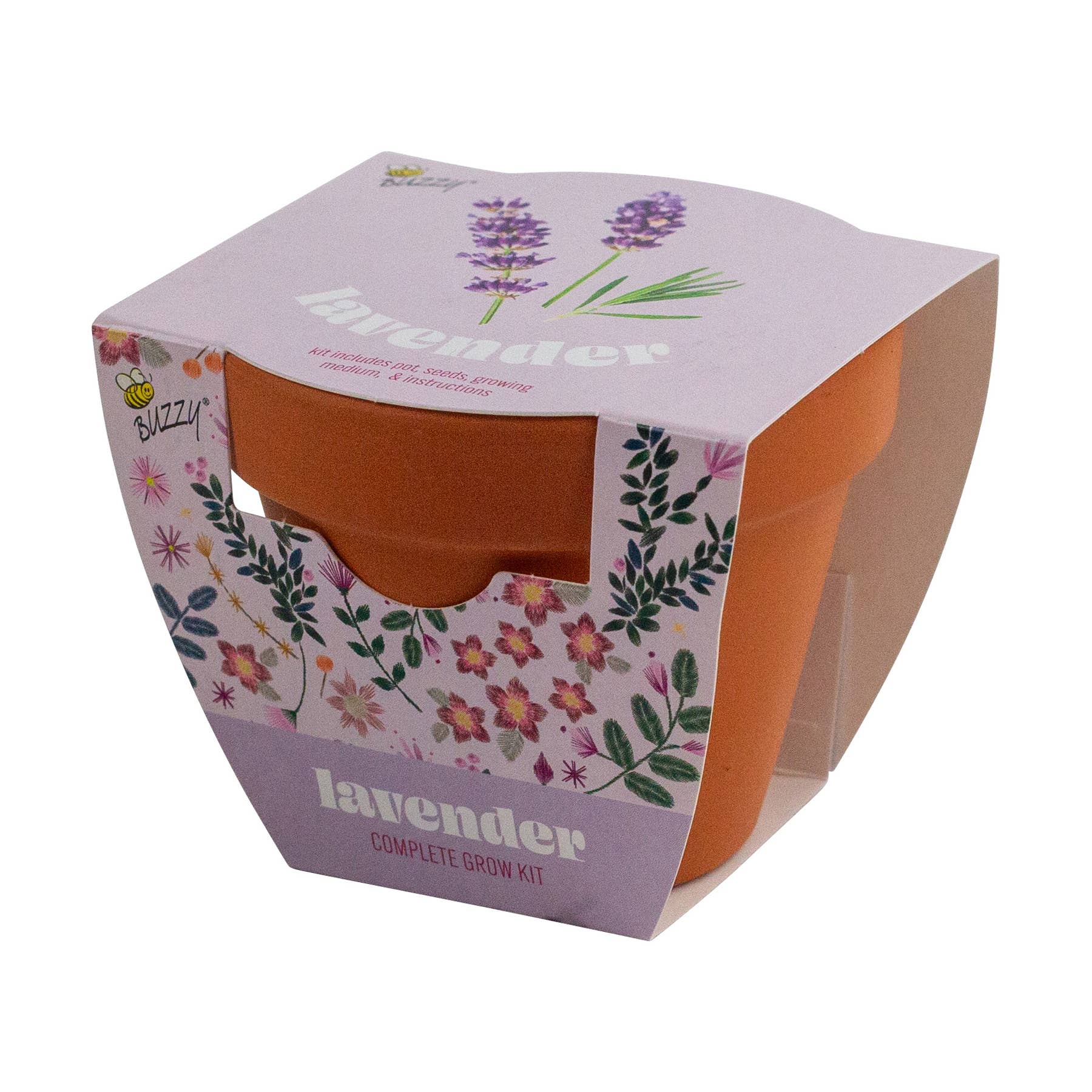 buzzy seeds lavender grow kit Buzzy Seeds Classic 7cm Terra Cotta Grow Kit