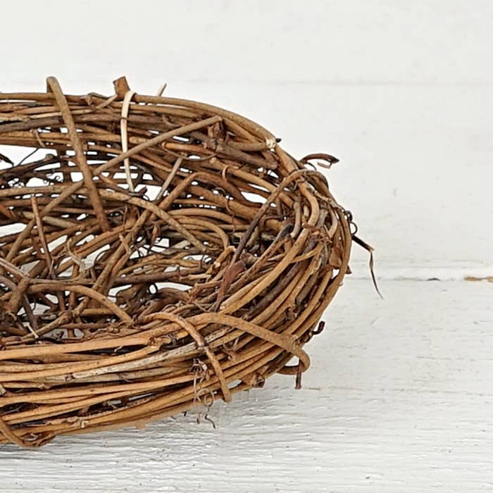 6" Twiggy Bird Nest-Natural-