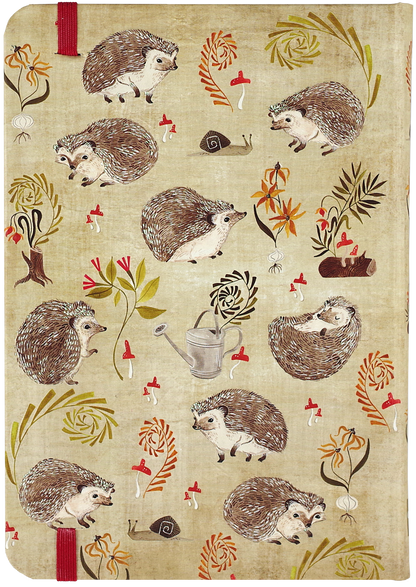 Hedgehogs Journal