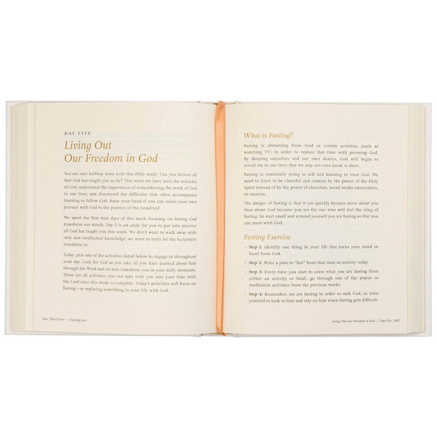 Bible Study: Beyond Egypt by Kari Minter
