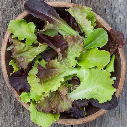 Pocket Garden | Gourmet Salad | Home Cook's Garden