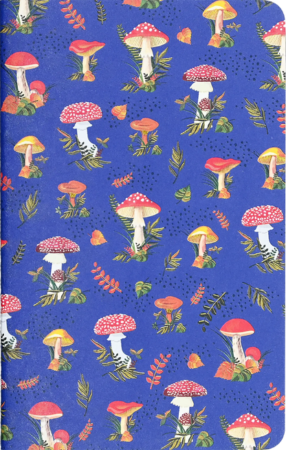 Jotter Mini Notebook Sets: Mushrooms