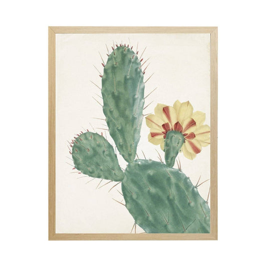Cropped Cactus I