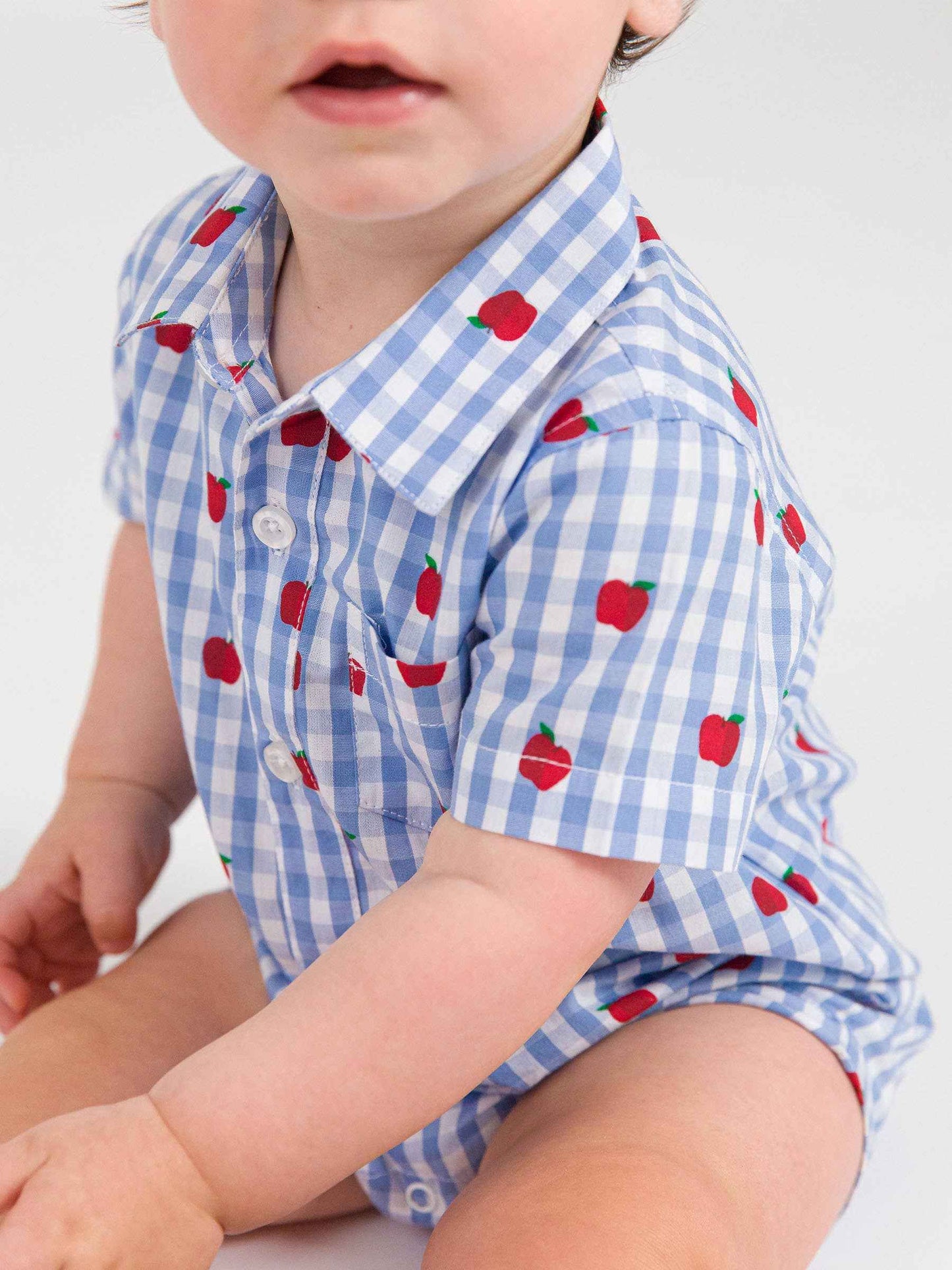 Baby Boys Apple Orchard Classic Gingham Short Sleeve Woven Button-Up Romper: Blue / 0-3m