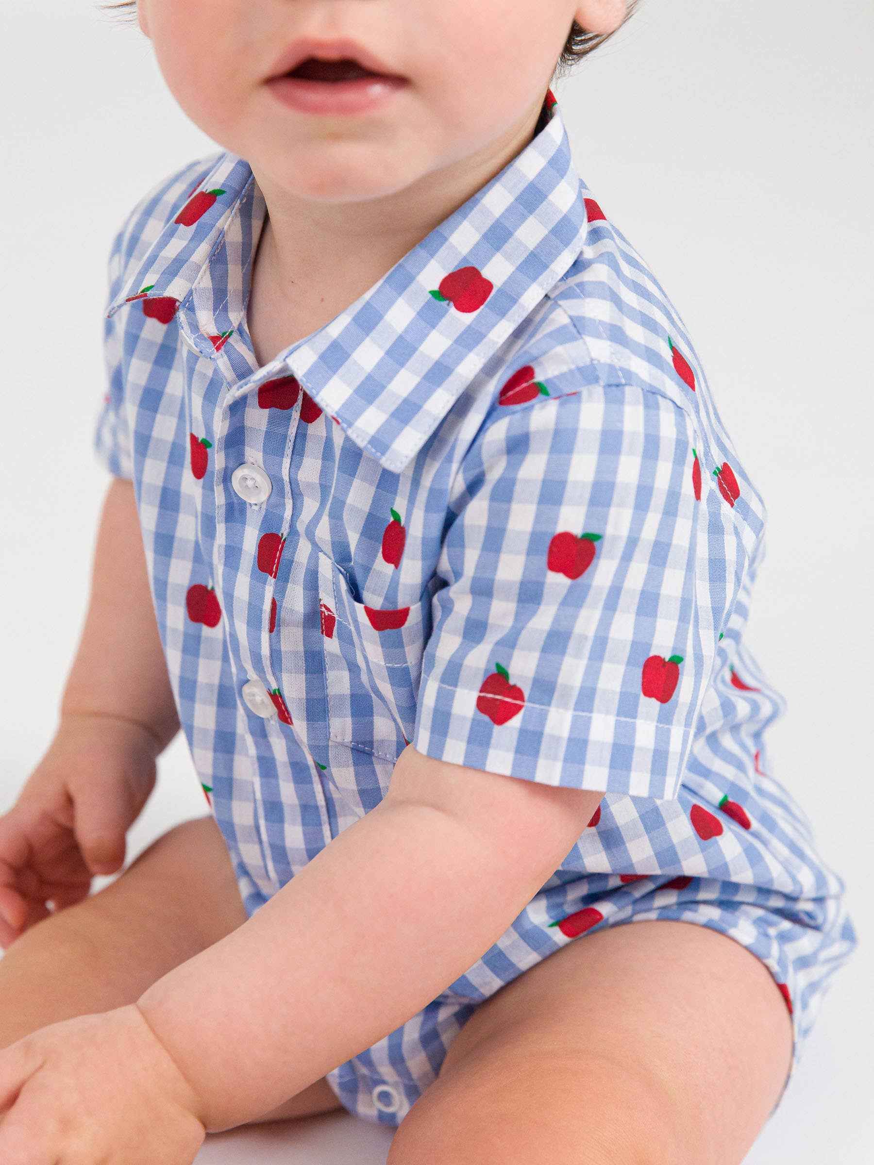 Baby Boys Apple Orchard Classic Gingham Short Sleeve Woven Button-Up Romper: Blue / 0-3m