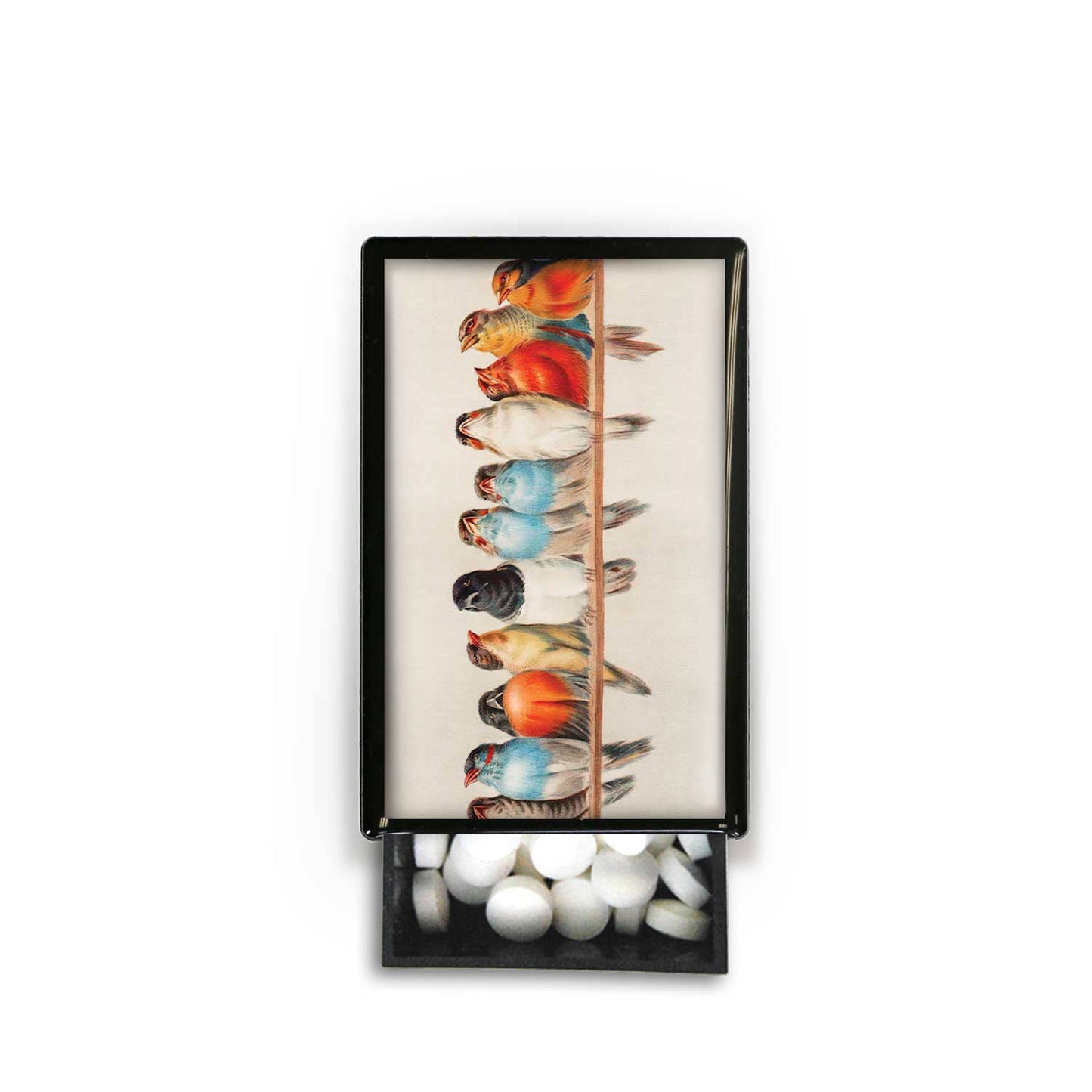 Birds in a line Wire Sky Nature Fly Feathers Slide Box