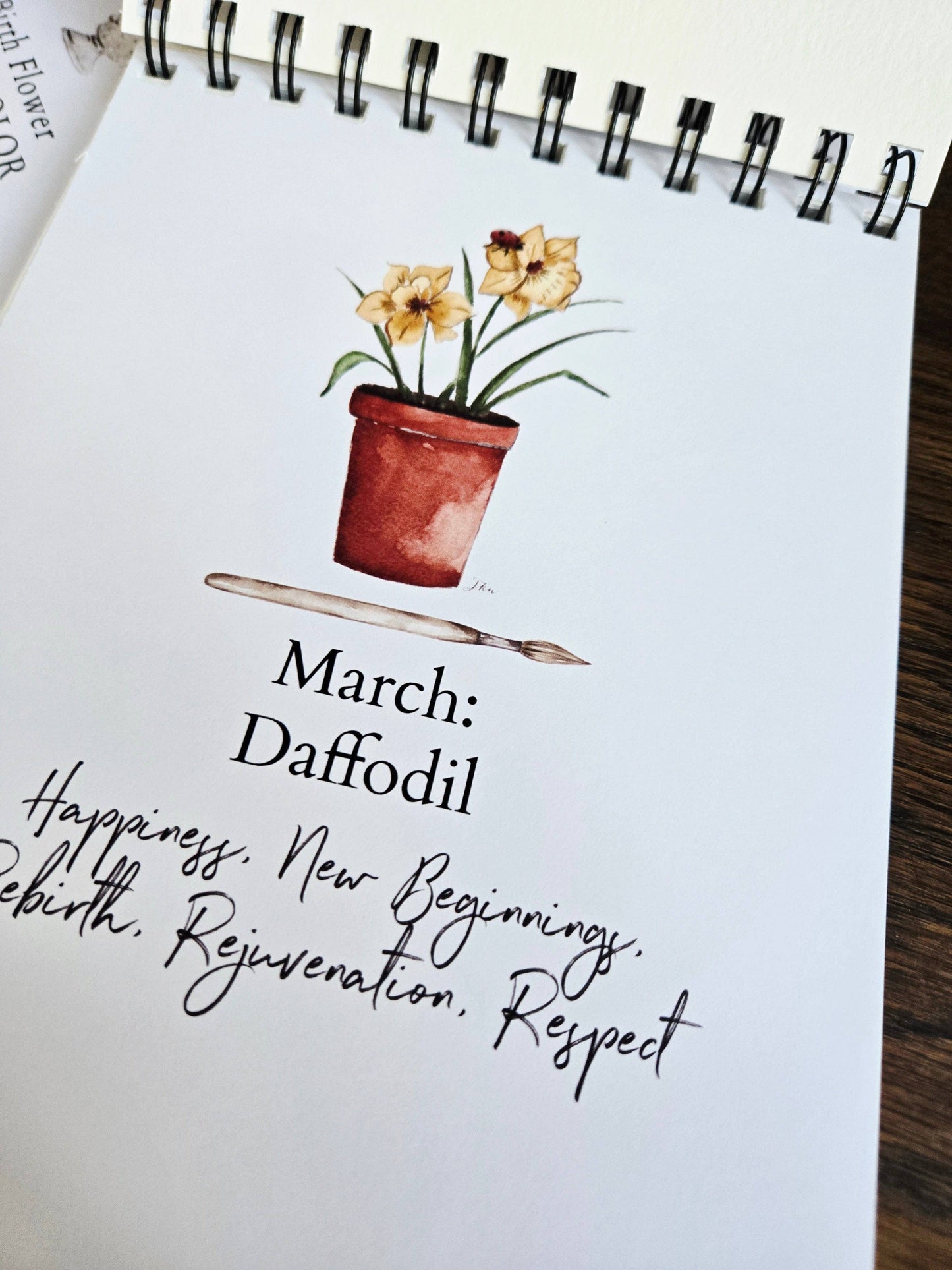 Watercolor Workbook, Spiral Bound, Birth Month Flowers