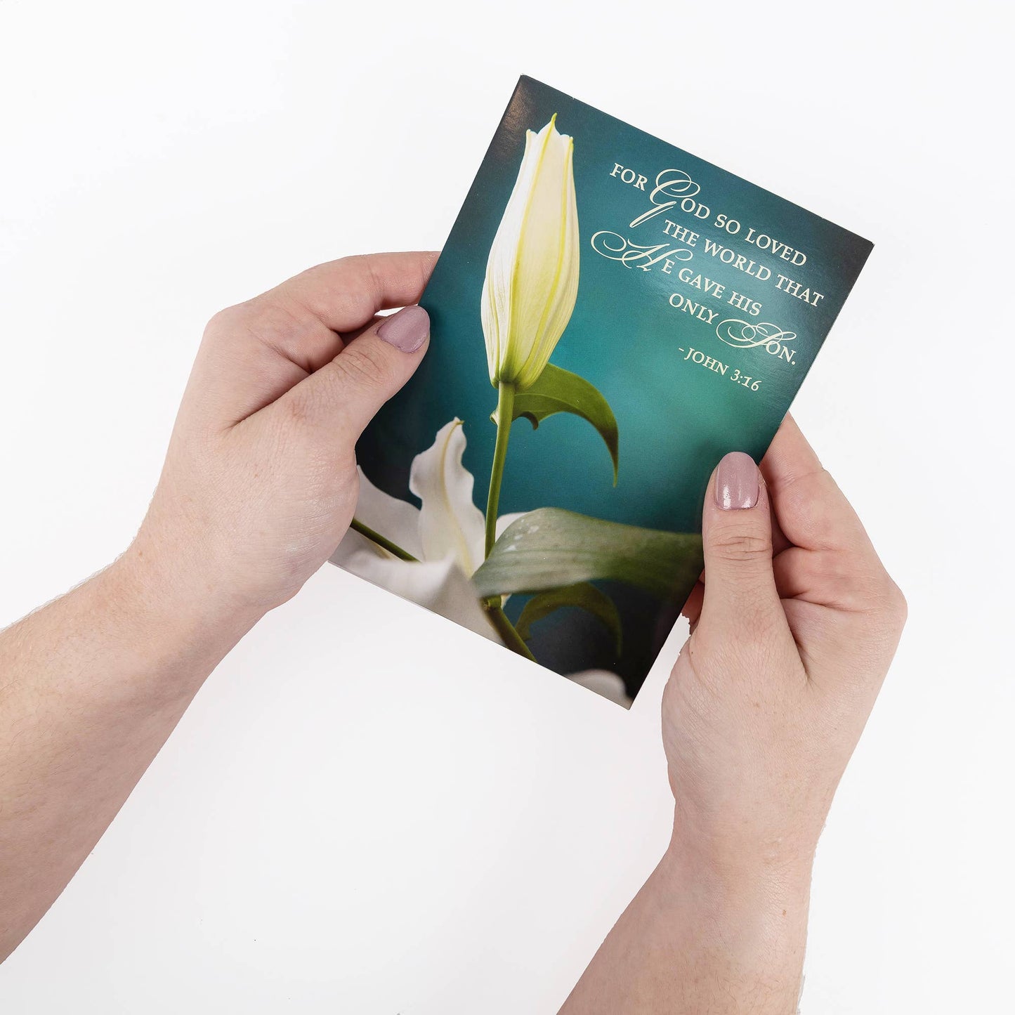 Divinity Boutique - Boxed Cards: Easter, Spring Flowers