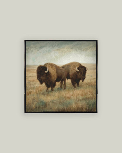 Bison Duo