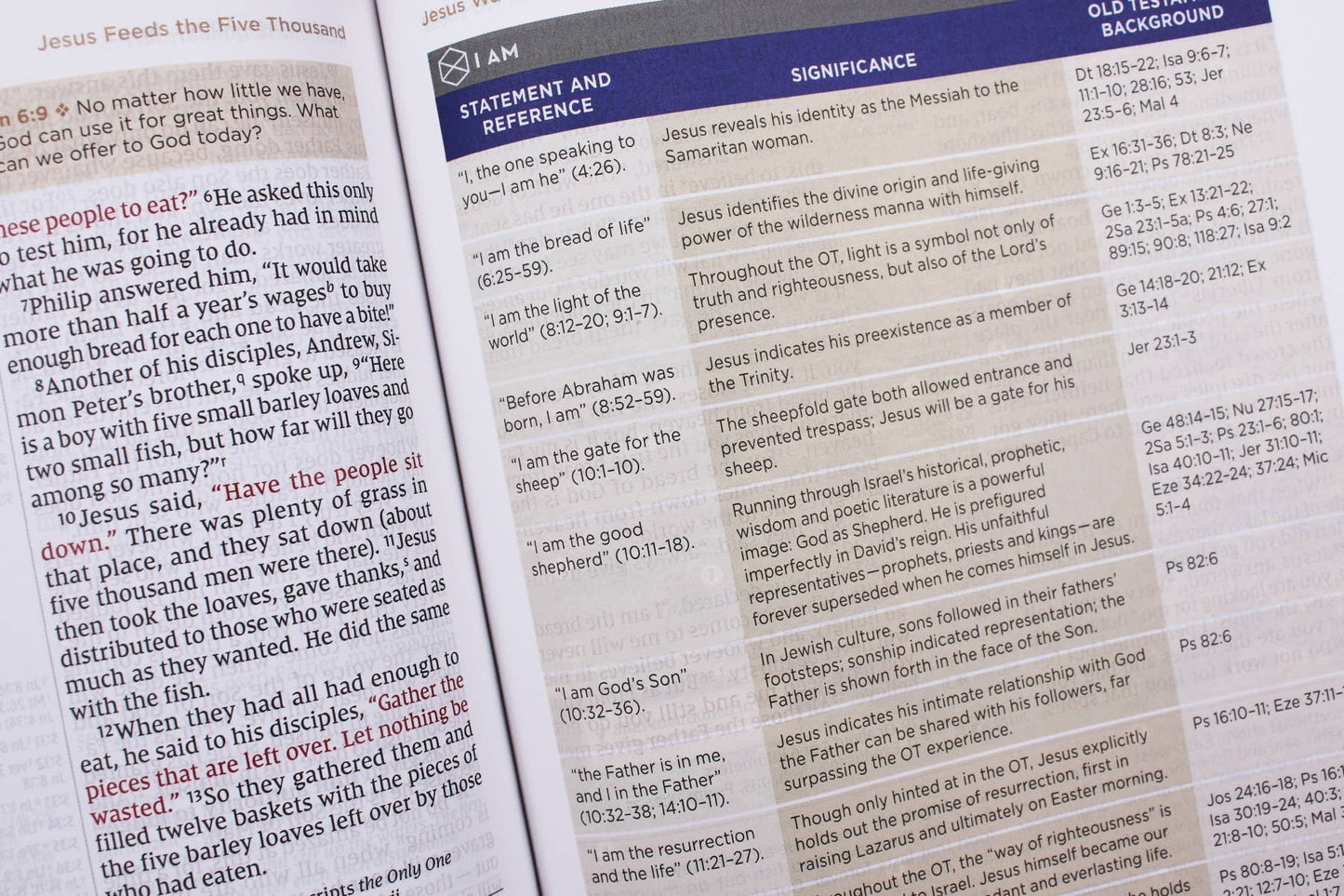 NIV Application Bible Leathersoft Red Letter Comfort Edition