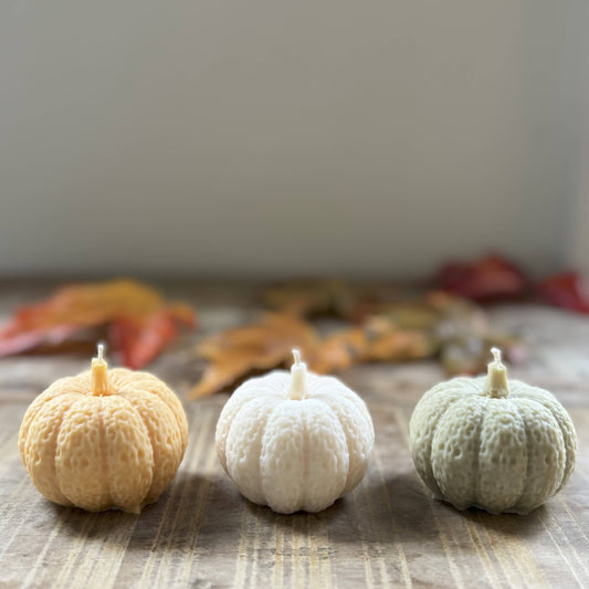 Pumpkin candle-sold separately