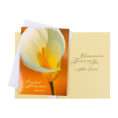 Divinity Boutique - Boxed Cards: Easter, Spring Flowers