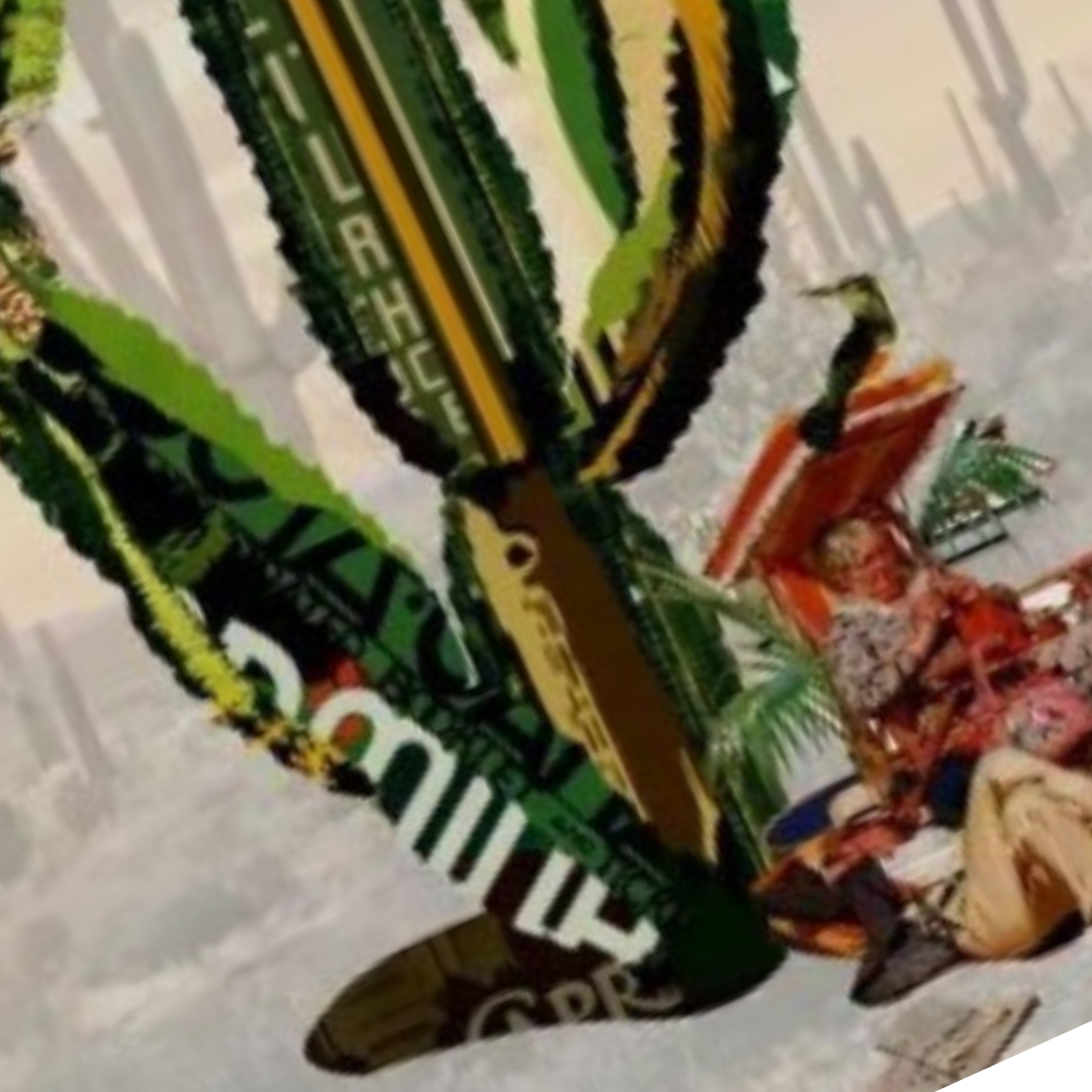 3D Collage Art | Saguaro Cactus - Retired Couple (32"x24")