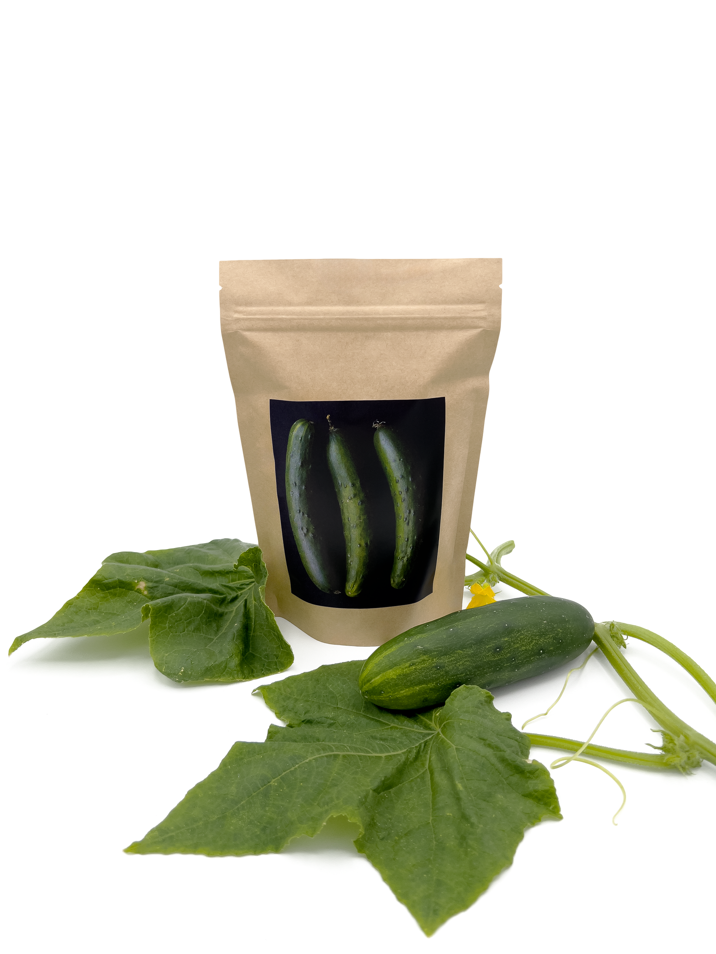 Seed Start | Cucumber