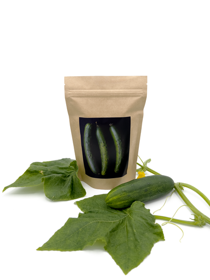 Seed Start | Cucumber