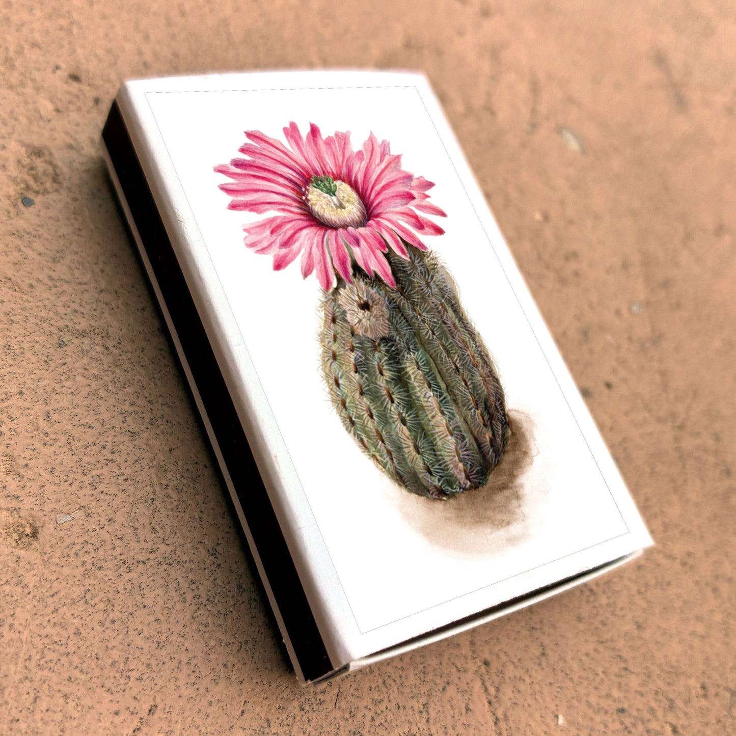 Matches • Turkeyhead Cactus •