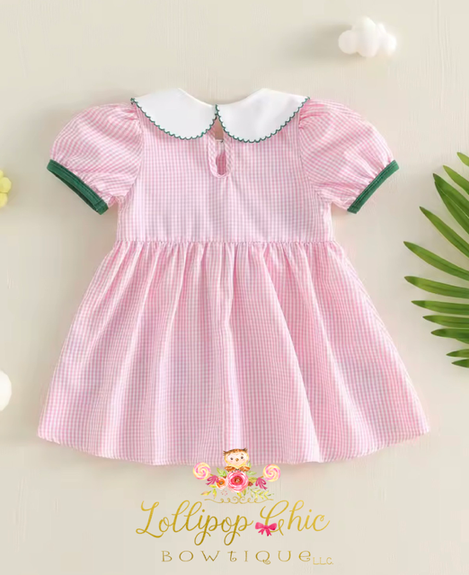 Baby and Toddler Girl Embordered Golf Plaid Dress: 3-4T