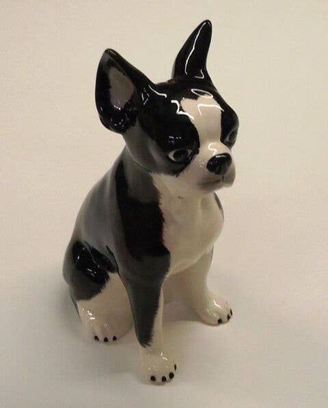 Bank, Boston Terrier