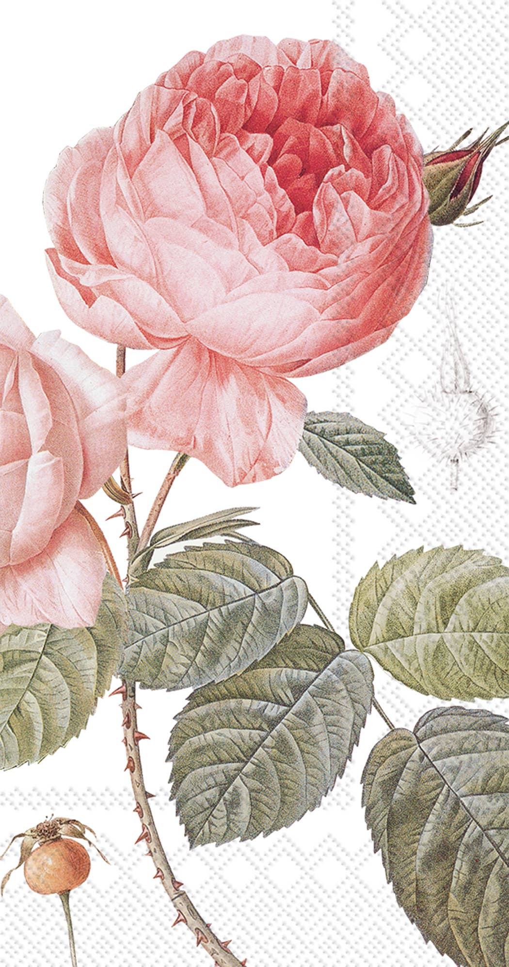 Pocket Tissues Pack of 10 Elisabeth