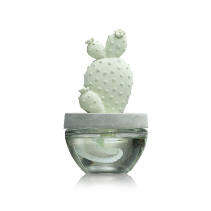 Bunny Ear Cactus ceramic diffuser gift set - 100ml