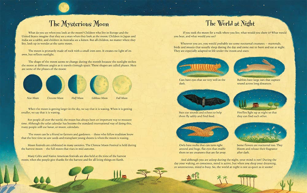 I Took the Moon for a Walk Children's Book