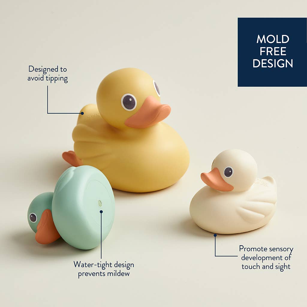 Duck Bath + Water Table Toys