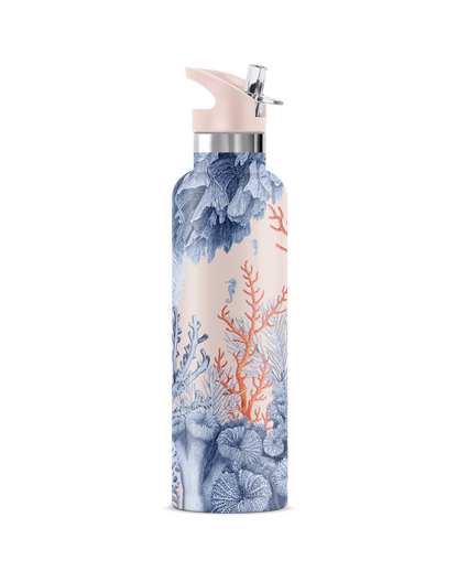Del Mar | Pink Seahorse Coral Insulated Water Bottle 25oz