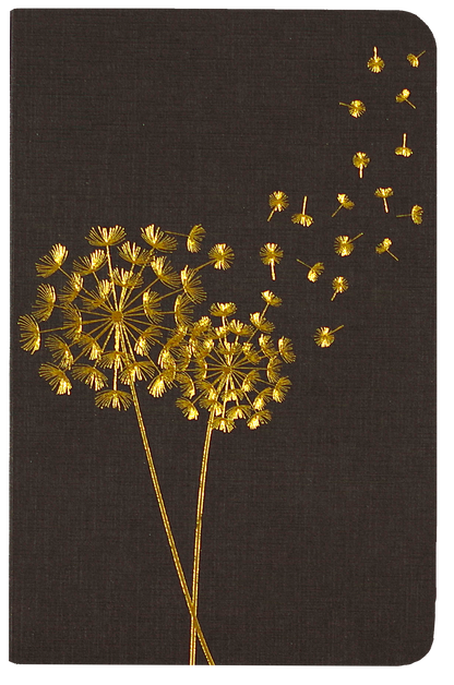 Jotter Mini Notebook Set: Dandelion Wishes