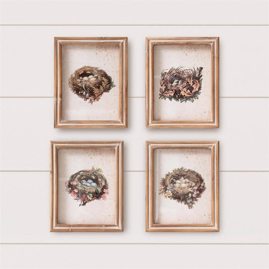 Vintage Bird Nests Framed Print - sold separately