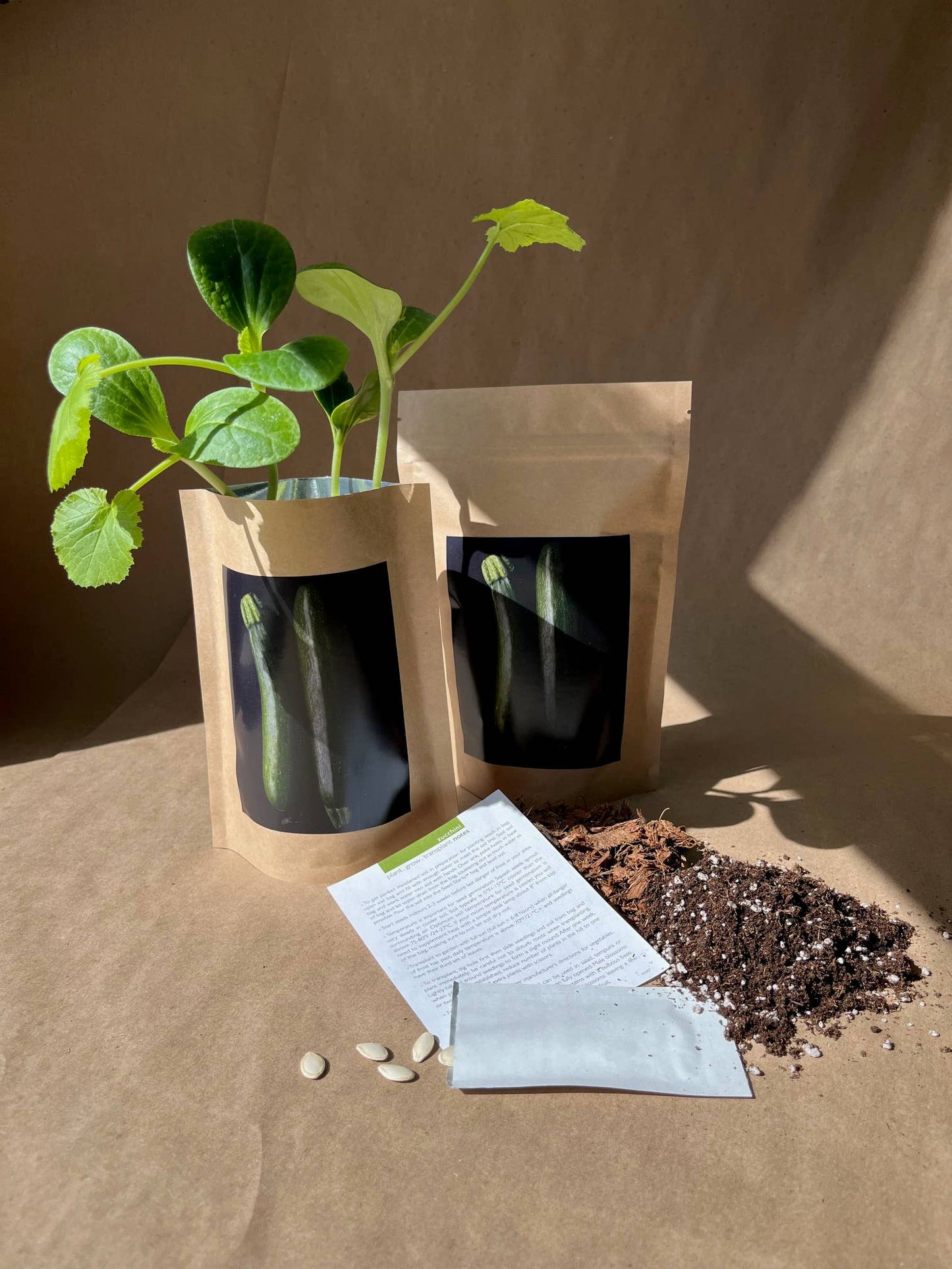 Seed Start | Yellow Pear Tomato