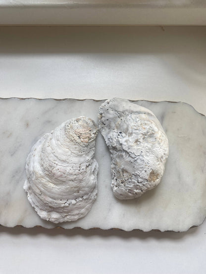 Blue Bird Oyster Shell Jewelry Dish