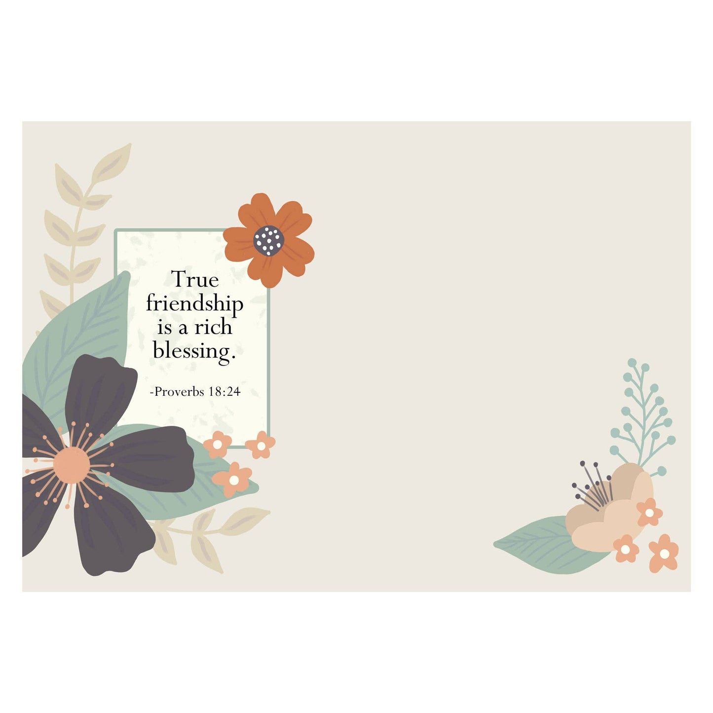 Divinity Boutique - Boxed Cards: Thinking of You, Floral