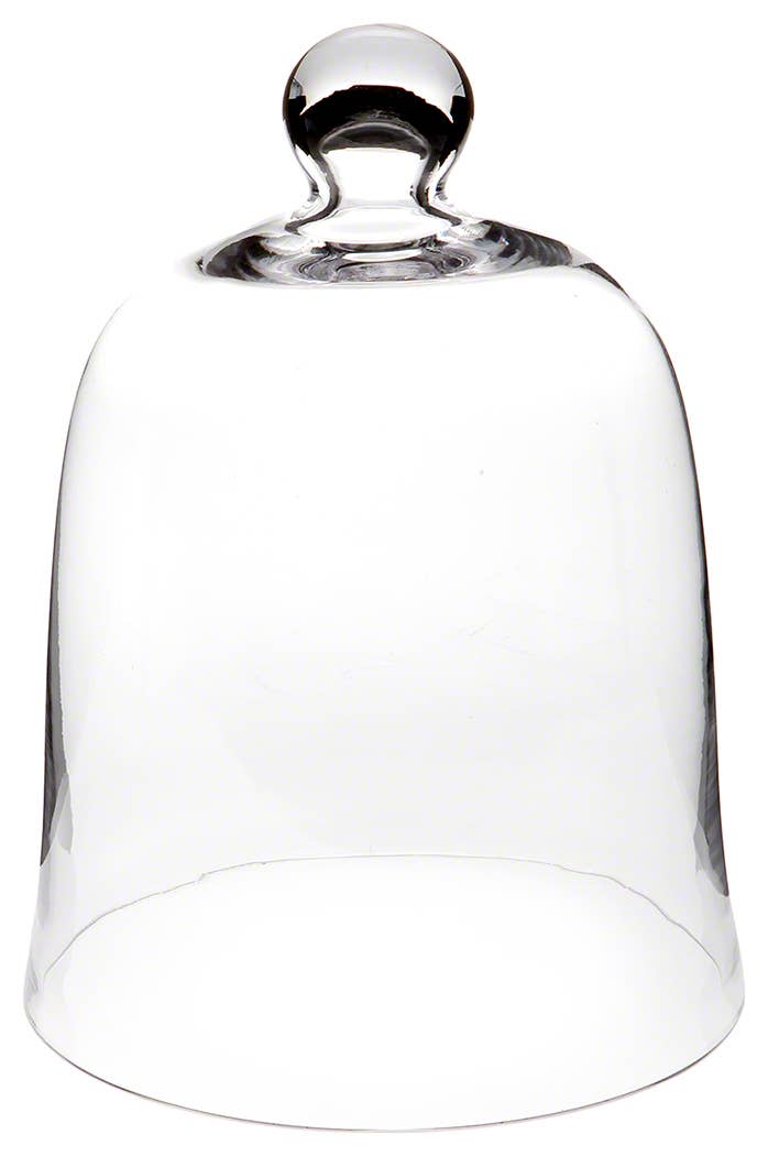 Bell Jar Glass Display Dome Cloche 8.5" x 11"
