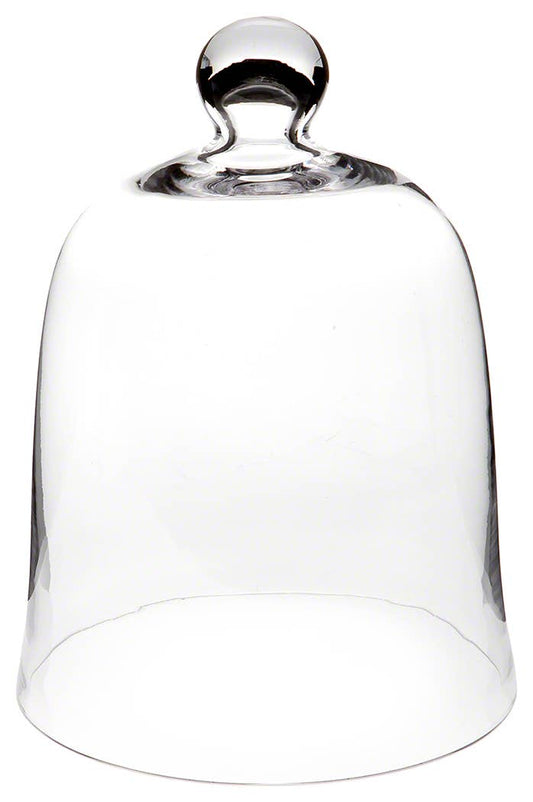 Bell Jar Glass Display Dome Cloche 8.5" x 11"