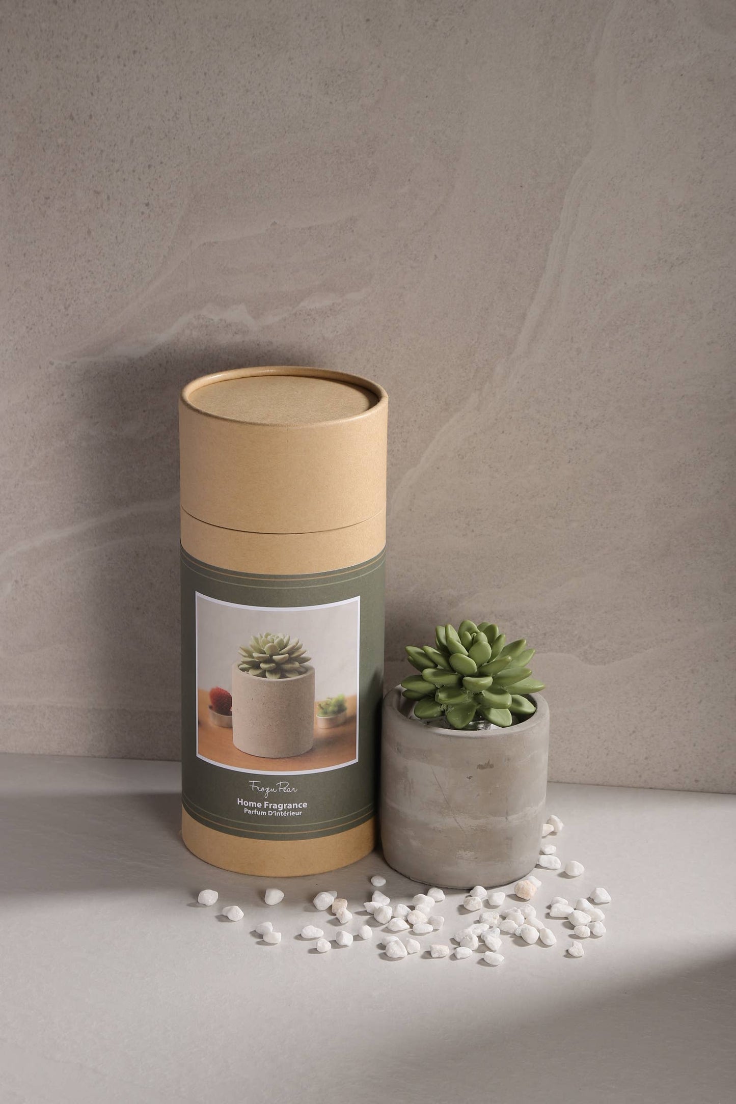 Succulent in Planter Diffuser Gift Set for Home Decor